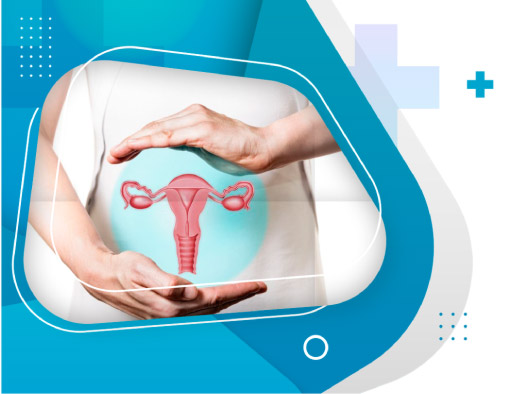 Comprehensive IVF Support