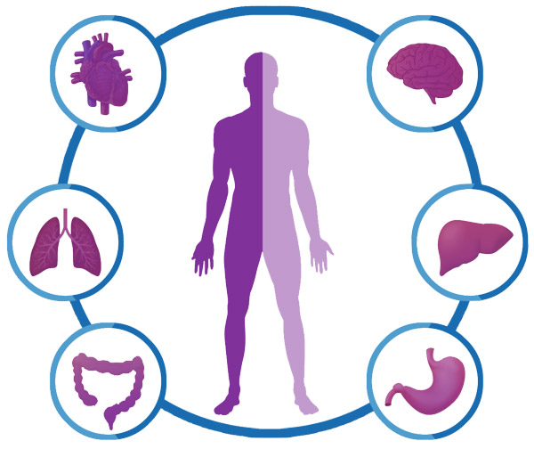 Health Checkup Service in London